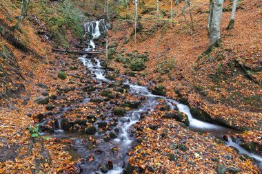 Şelale Yedigoller Milli Parkı'nda, Bolu, Türkiye