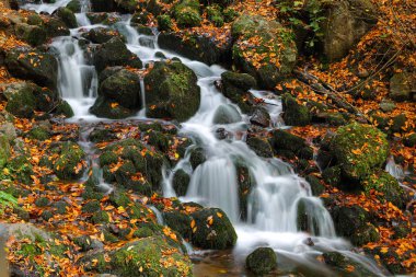 Şelale Yedigoller Milli Parkı'nda, Bolu, Türkiye