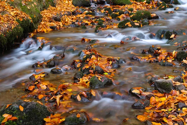 Waterfall in Yedigoller National Park, Bolu, Turkey — Stock Photo, Image