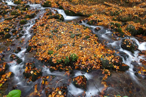 Waterfall in Yedigoller National Park, Bolu, Turkey — Stock Photo, Image