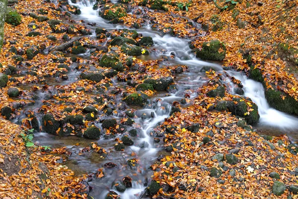 Waterfall in Yedigoller National Park, Bolu, Turkey — Stock Photo, Image