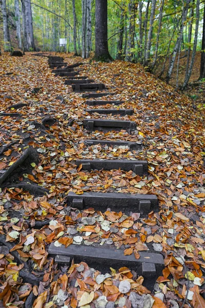 Jalan di Taman Nasional Yedigoller, Bolu, Turki — Stok Foto