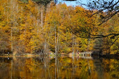 Büyük göl Yedigoller Milli Parkı'nda, Bolu, Türkiye