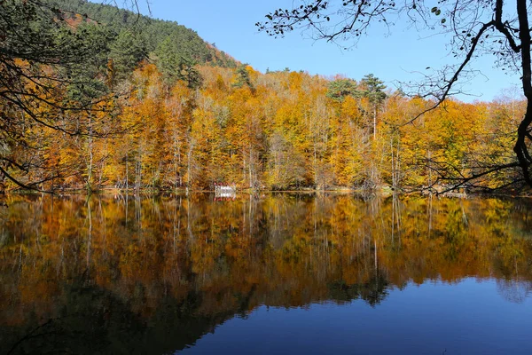 Lago Buyuk en el Parque Nacional Yedigoller, Bolu, Turquía — Foto de Stock