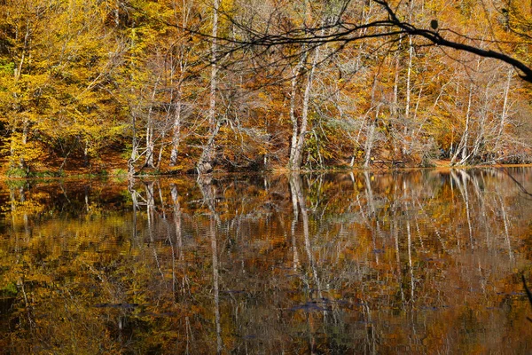 Lac Buyuk dans le parc national Yedigoller, Bolu, Turquie — Photo