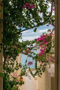 Enfes deniz manzarası. Çiçekler ve begonviller denizin üzerinde renkli bir kemer oluşturur.