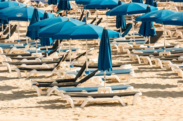 Ayia Napa Cipro 2008 Ombrelloni Blu Chaise Longue Una Spiaggia — Foto Stock