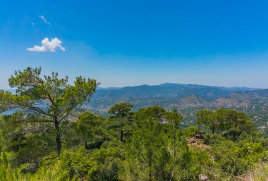 Sedir ve güzel Troodos Dağları manzarası, Cyprus. Güneşli yaz günü..