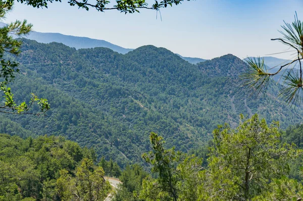 Troodos Dağları 'nın güzel manzarası Cyprus. Güneşli bir yaz günü..