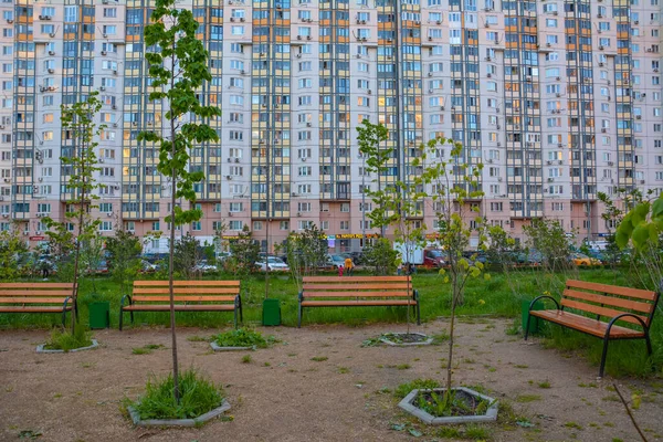 Mladé Stromy Lavice Pozadí Obytné Budovy Rozumím Krasnogorsk Moskevský Kraj — Stock fotografie