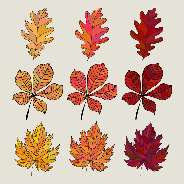 Ensemble de feuilles d'automne colorées. Illustration vectorielle. Icône de feuille de chêne, érable et châtaignier. Feuilles automne dégradé de couleur. 3 sortes de feuilles de couleur différente . — Image vectorielle