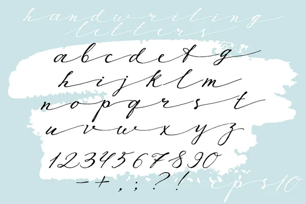 Calligraphic hand drawn font. Handwritten alphabet in elegant brush style. Modern script in vector. Handmade thin artistic letters. — Stock Vector