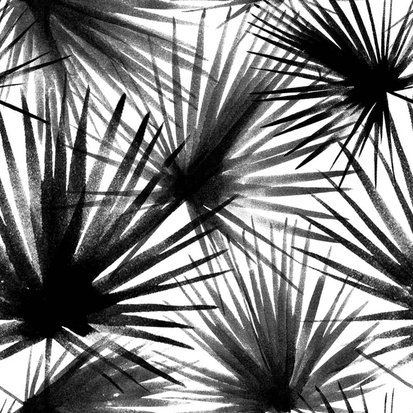热带树叶, 丛林模式。无缝墨刷植物图案。水彩单色背景。棕榈树叶. — 图库照片