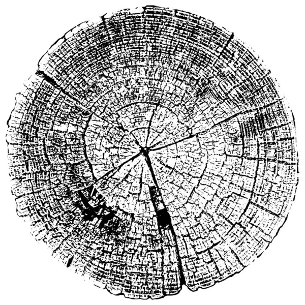 Texture perturbée de la surface rugueuse, vieux tronc d'arbre, anneaux sur l'arbre. Fond grunge. Une ressource graphique en couleur . — Image vectorielle
