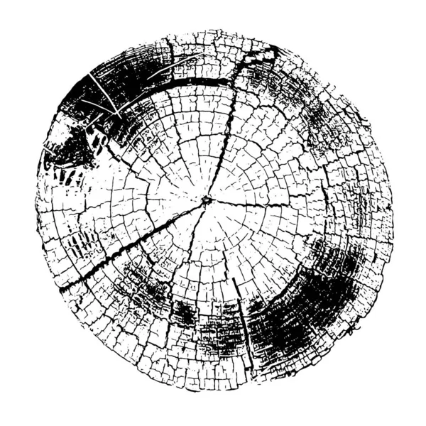 Texture perturbée de la surface rugueuse, vieux tronc d'arbre, anneaux sur l'arbre. Fond grunge. Une ressource graphique en couleur . — Image vectorielle