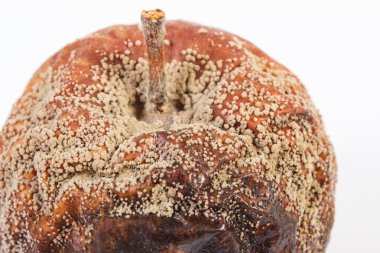 Closeup Eski küflü elma beyaz arka plan üzerinde buruşuk