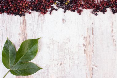 Autumn fresh elderberry with leaf and copy space for text on old wooden background