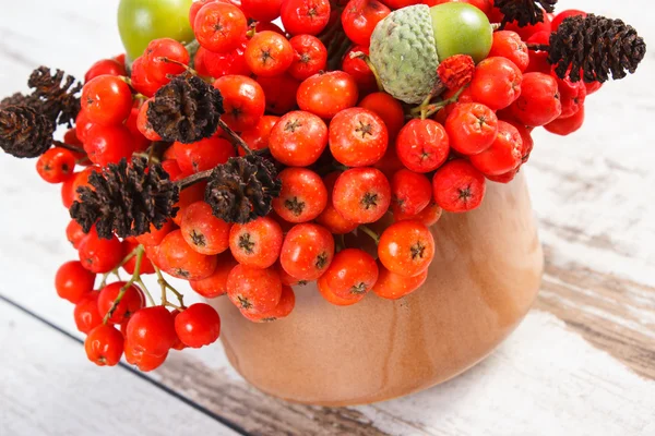 Őszi gyümölcsök, erdő, rusztikus, fából készült háttér — Stock Fotó