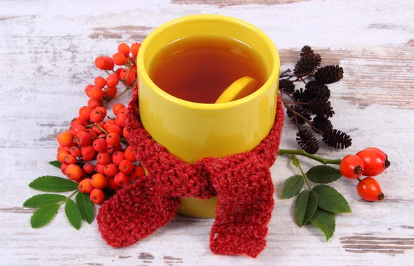 Taza de té con pañuelo de lana envuelto en limón, bebida caliente para la gripe, decoración de otoño — Foto de Stock