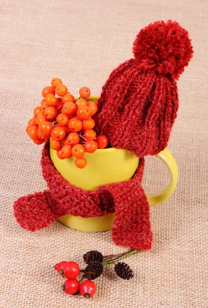 Decoração de outono com copo envolto cachecol e tampa de lã na serapilheira — Fotografia de Stock