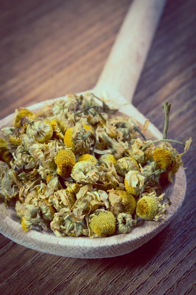 Vintage photo, Dried chamomile on wooden spoon, alternative medicine — Stock Photo, Image