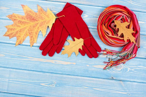 Hojas de otoño, guantes de lana y chal para mujer, ropa para otoño o invierno, espacio para copiar texto — Foto de Stock