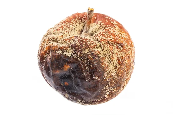 Old wrinkled moldy apple on white background — Stock Photo, Image