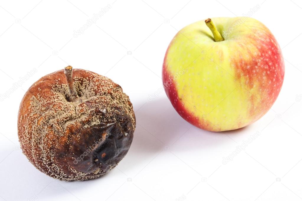 Old wrinkled moldy and fresh apple on white background