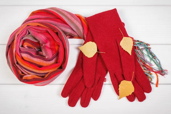 Γάντια και Σάλι για τη γυναίκα στα συμβούλια, ρούχα για το φθινόπωρο ή το χειμώνα — Φωτογραφία Αρχείου