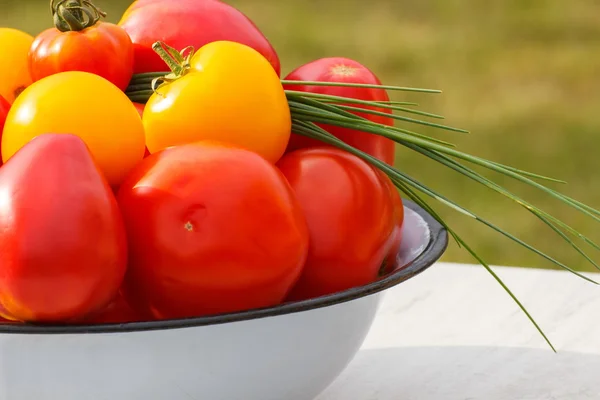 Tomates dans un bol en métal avec ciboulette verte dans le jardin le jour ensoleillé — Photo