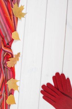 Eldivenler, kadın ve yaprakları panoları için şal, giyim sonbahar ya da kış, metin için yer kopyalayın