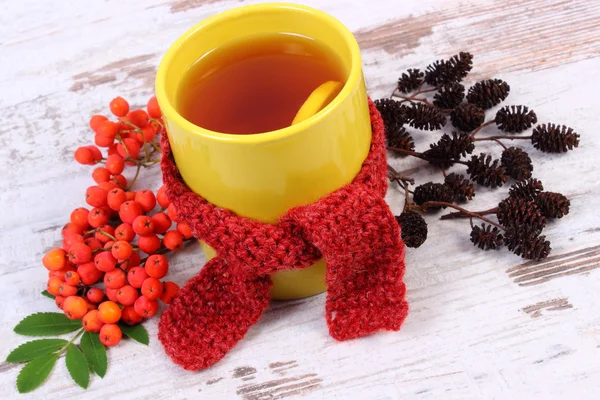 Taza de té con pañuelo de lana envuelto en limón, decoración de otoño, bebida caliente para la gripe — Foto de Stock