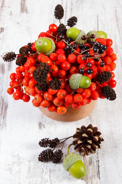 Őszi gyümölcsök, erdő, rusztikus, fából készült háttér — Stock Fotó