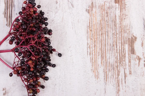 Bunch of fresh elderberry on old wooden background, copy space for text — Stock Fotó