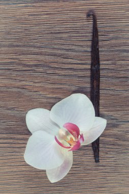 Vintage Fotoğraf, Blooming orkide ve güzel kokulu vanilya çubukları