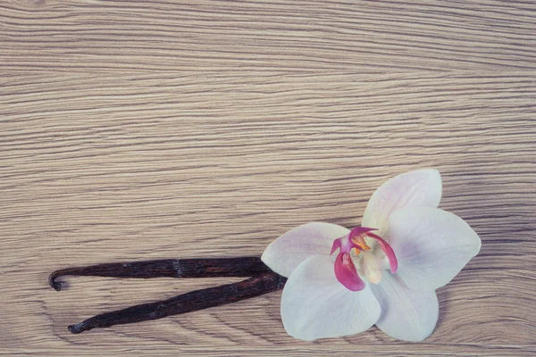 Foto vintage, orquídea florescente e palitos de baunilha perfumados, espaço de cópia para texto — Fotografia de Stock