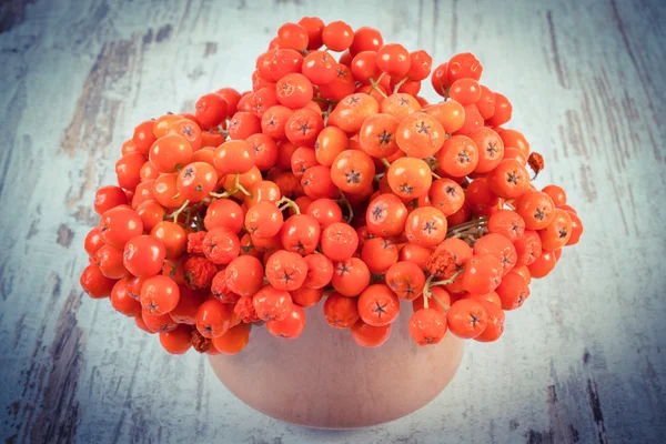 Vintage photo, Bunch of red autumn rowan on rustic wooden background — Φωτογραφία Αρχείου