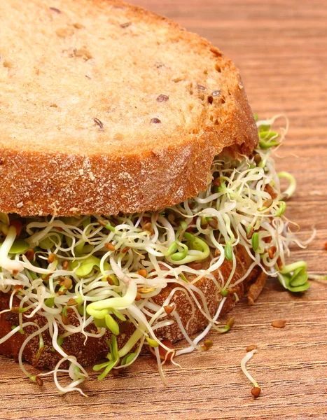 Volkoren brood met luzerne en radijs spruiten — Stockfoto