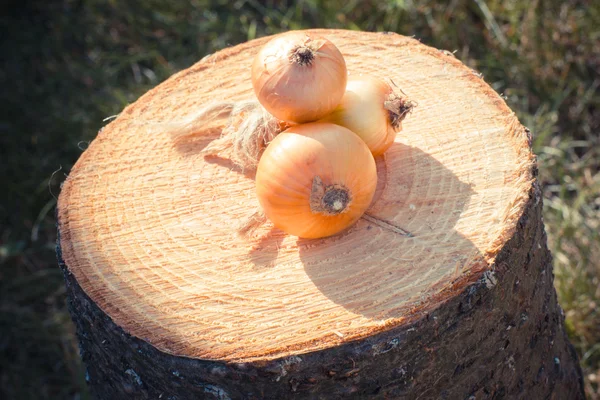 Ročník fotografické, přírodní neloupaná cibule na dřevěné protézy — Stock fotografie