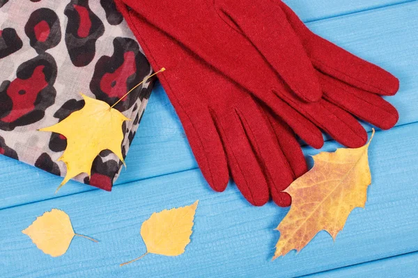 Μάλλινα γάντια και σάλι για γυναίκα στα διοικητικά συμβούλια, ρούχα για το φθινόπωρο ή το χειμώνα — Φωτογραφία Αρχείου