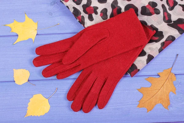 Guantes y chales de lana para mujer a bordo, ropa para otoño o invierno —  Fotos de Stock