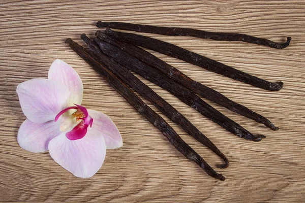Blooming orchid and fragrant vanilla sticks — Stock Photo, Image
