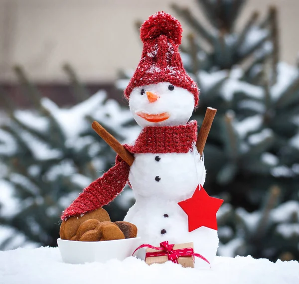 Snögubbe med gåva till jul eller Valentine och pepparkakor på bakgrund av barrträd — Stockfoto