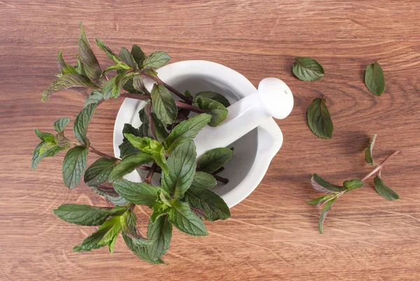 Fresh natural green mint in mortar, healthy lifestyle — Stock Photo, Image