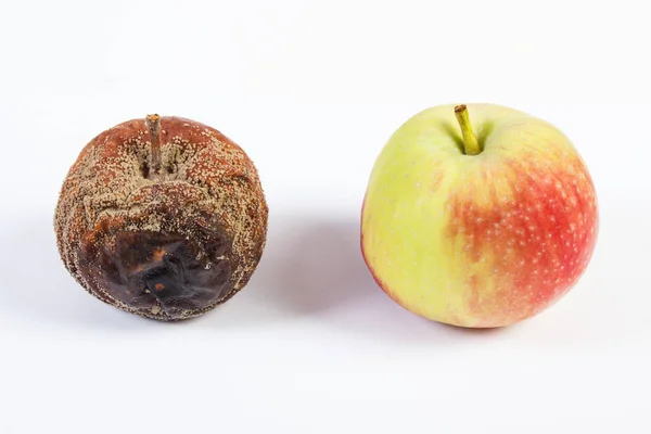 Stare pomarszczone spleśniały i świeże jabłka na białym tle — Zdjęcie stockowe