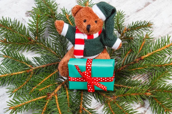 Teddy bear with green gift for Christmas and spruce branches