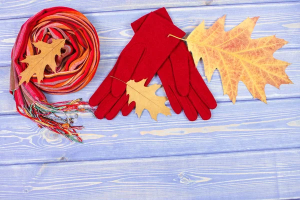 Feuilles automnales, gants de laine et châle pour femme, vêtements pour l'automne ou l'hiver, espace pour copier le texte — Photo