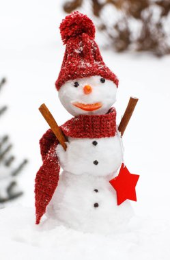 Yün, İpek eşarp ve iğne yapraklı ağaç arka plan üzerinde kap ile dekore edilmiş kardan adam kar kaplı