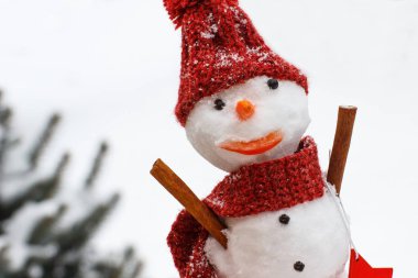 Kardan adam yün atkı ve iğne yapraklı ağaç arka plan üzerinde kap kar kaplı