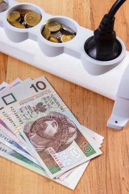 Elektrik güç uzatma kablosuna bağlı Tak ve Polonya para birimi para, enerji maliyetleri ile